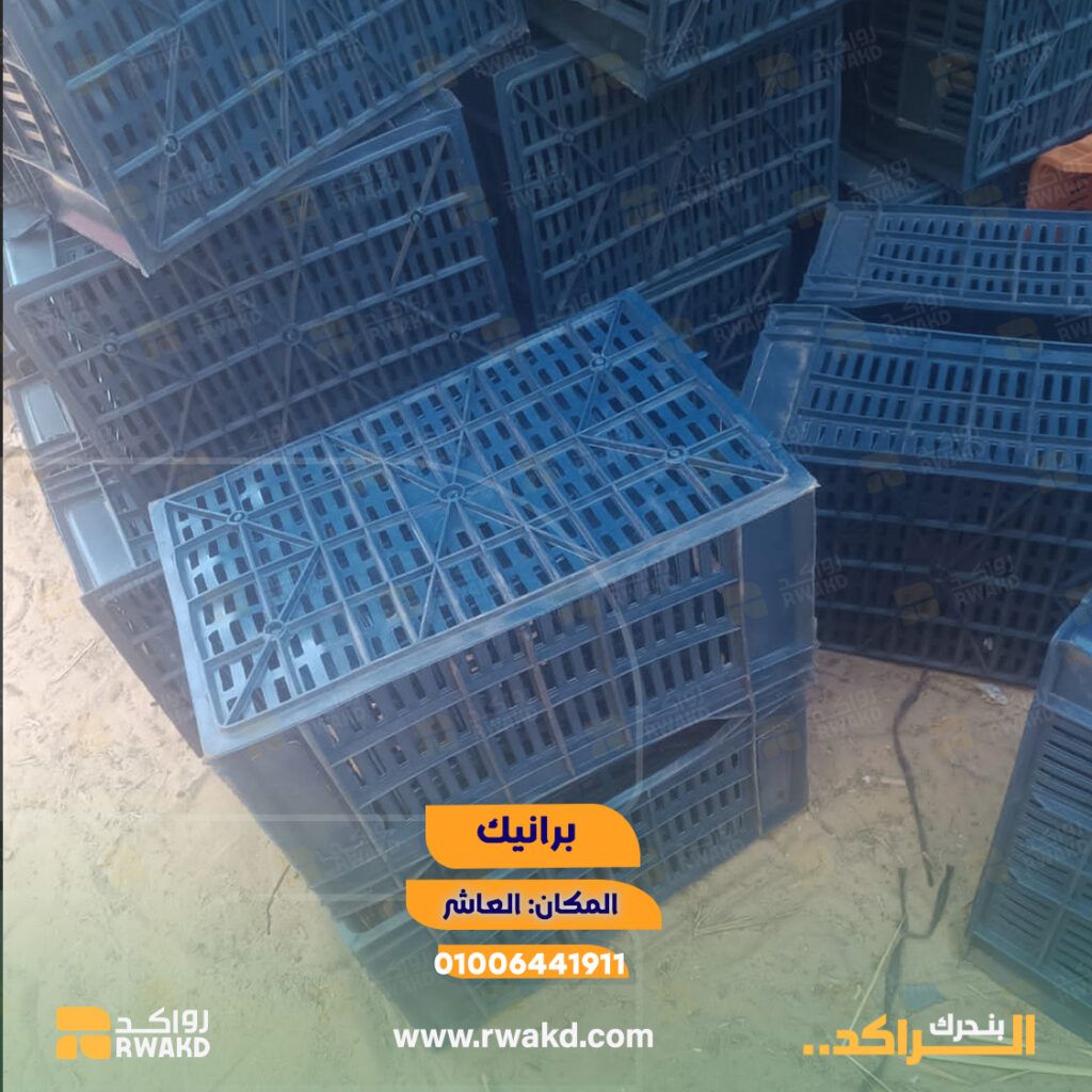 برانيك وأقفاص بلاستيك مستعملة للتخزين والنقل الزراعي - منصة راكد (Rwakd) Used plastic crates and crates for agricultural packaging and storage Resource optimization - Rwakd