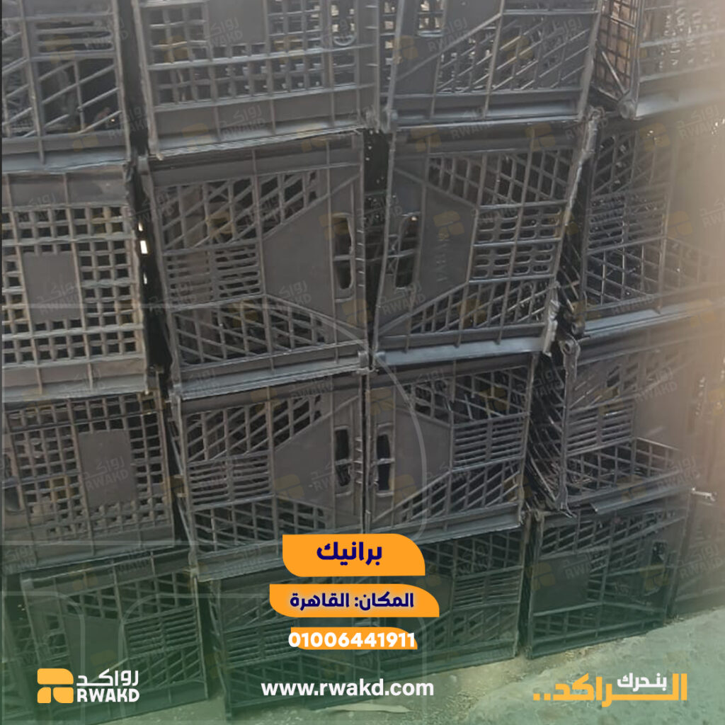 برانيك وأقفاص بلاستيكية مستعملة للتخزين والنقل اللوجستي والزراعي في القاهرة - منصة راكد (Rwakd) Pre-owned black plastic crates for agricultural and logistics storage in Cairo Resource optimization - Rwakd