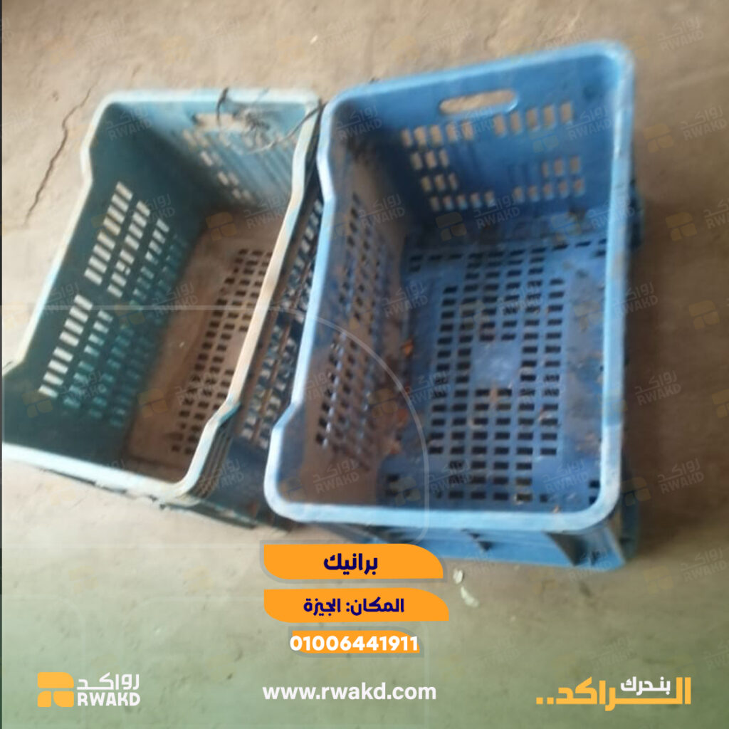 برانيك وأقفاص بلاستيك زرقاء مستعملة للتخزين والنقل اللوجستي والزراعي في الجيزة - منصة راكد (Rwakd) Pre-owned blue plastic crates for agricultural and logistics storage in Giza Resource optimization - Rwakd