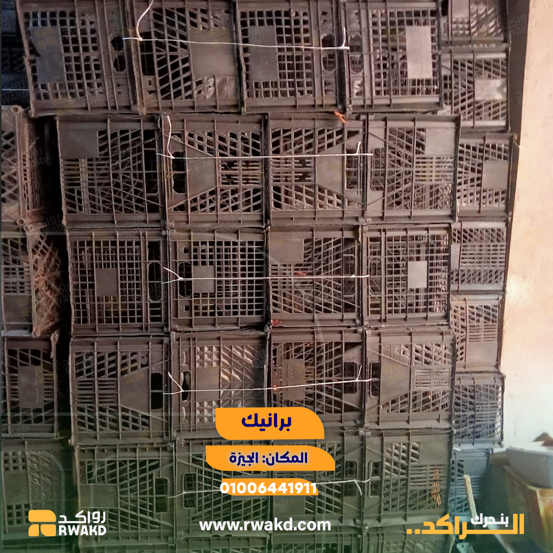 برانيك-اقفاص-بلاستيك-تخزين-الجيزة-راكد black-plastic-crates-giza-rwakd برانيك وأقفاص بلاستيكية مستعملة للتخزين والنقل اللوجستي والزراعي في الجيزة - منصة راكد (Rwakd) Pre-owned black plastic crates for agricultural and logistics storage in Giza Resource Optimization - Rwakd