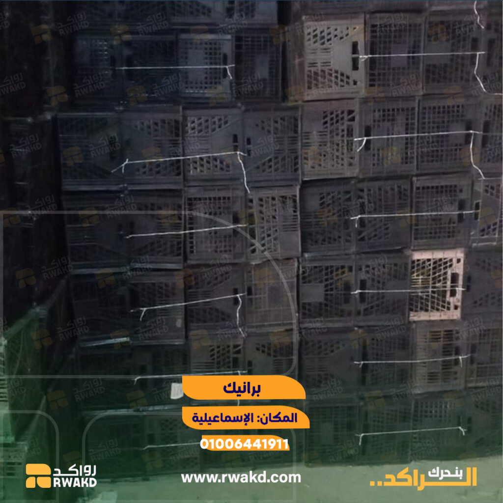برانيك وأقفاص بلاستيكية مستعملة للتخزين والنقل اللوجستي والزراعي في الإسماعيلية - منصة راكد (Rwakd) Pre-owned black plastic crates for agricultural and logistics storage in Ismailia Resource optmization - Rwakd