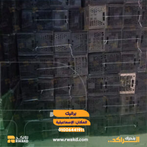 برانيك وأقفاص بلاستيكية مستعملة للتخزين والنقل اللوجستي والزراعي في الإسماعيلية - منصة راكد (Rwakd) Pre-owned black plastic crates for agricultural and logistics storage in Ismailia Resource optmization - Rwakd
